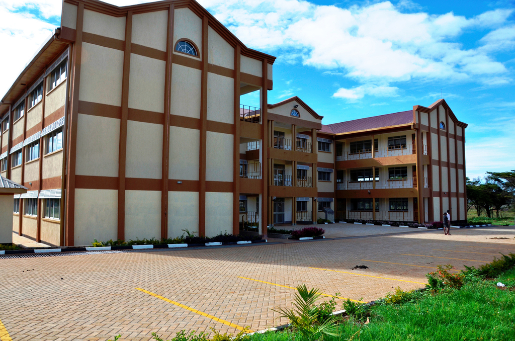 School of Education Profile