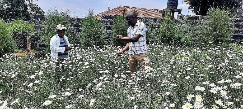 School of Agriculture and Biotechnology