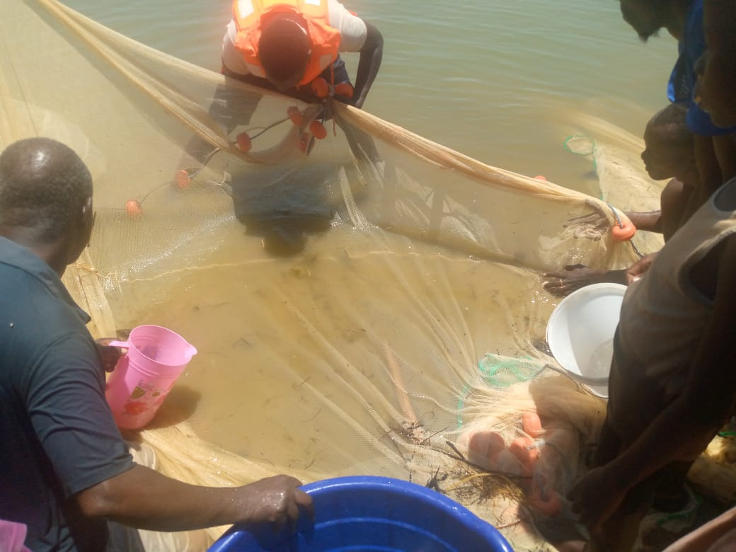 Fishing for Nile tilapia fry in lake Turkana