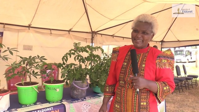 Prof. Miriam Kinyua