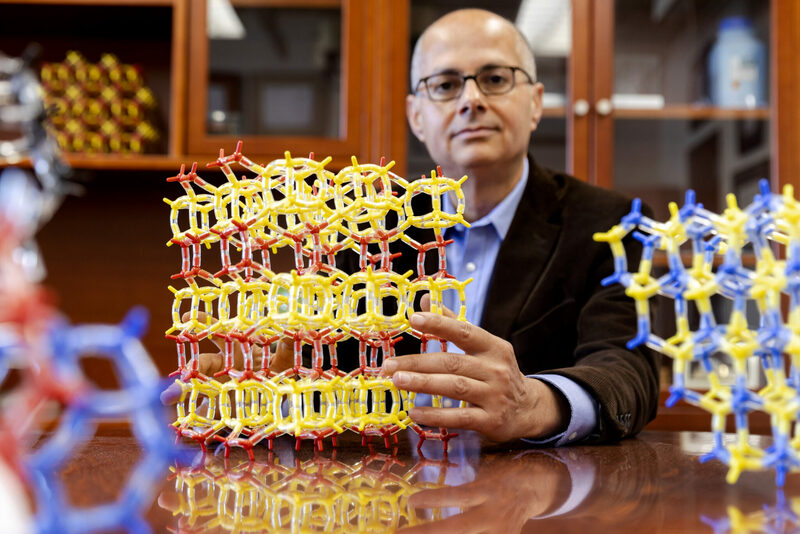 Center for African Studies Visiting Fellowships, 2027