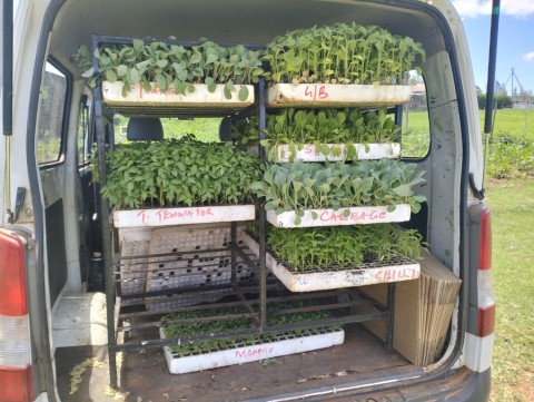Farmers’ Training On Major Pests and Diseases in Meibeki Ward, Moiben Sub County