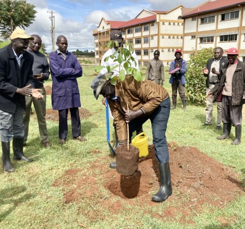 UoE join in the National Tree Planting Day - November 13th, 2023