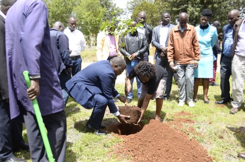 National Tree Planting Day  -  May 10th, 2024