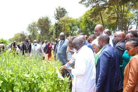The University of Eldoret Agribusiness Trade Fair  -  September 12th – 14th 2024