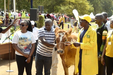 Winner of Heifer During The 2023 Agribusiness Trade Fair