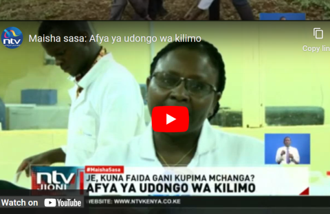 Maisha sasa: Afya ya udongo wa kilimo
