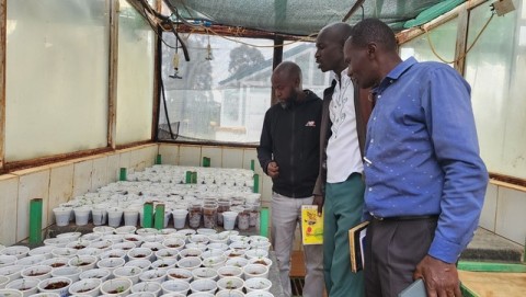 CGA Farmers from Laikipia County Training on Potato Seedling Production at the University of Eldoret Biotechnology Lab