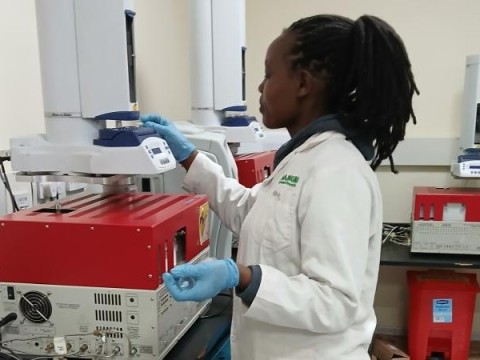 From Field to Lab: HABITAT Students Gain Cutting-Edge Research Experience at the Mazingira Centre