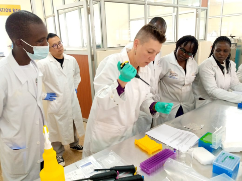 Development of an All-male tilapia strain for commercial use in Kenya