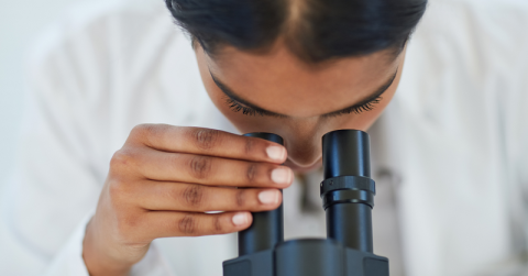 Leo Foundation: Apply for Research Grants