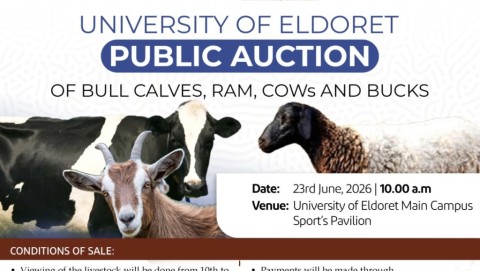 Public Auction of Livestock on 23rd June 2026