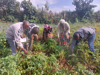 Farmers assessing ou