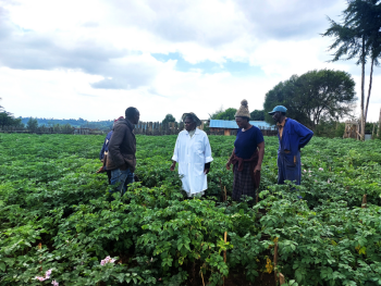 Farmers assessing ou