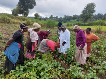 Farmer participation