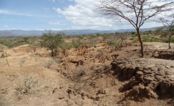 Land degradation