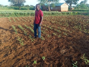 One of the SCIFSA Ph