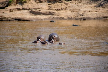 UoE International St