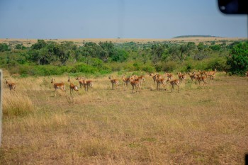 UoE International St