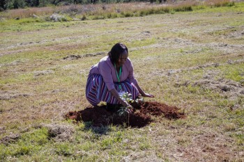 he 14th RCE Africa R