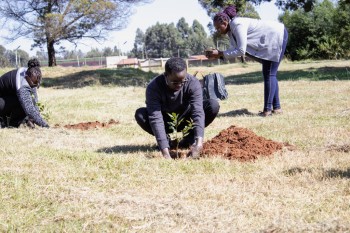 he 14th RCE Africa R