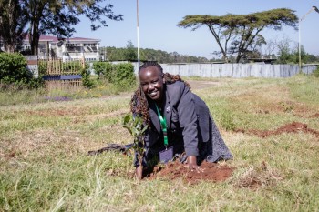 he 14th RCE Africa R