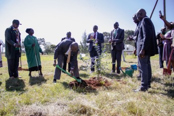 he 14th RCE Africa R