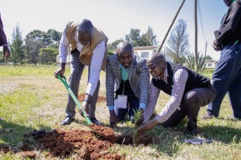 he 14th RCE Africa R