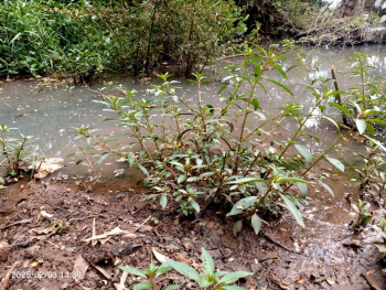 World Wetlands Day 2