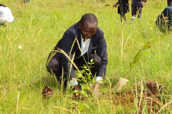 World Environmental