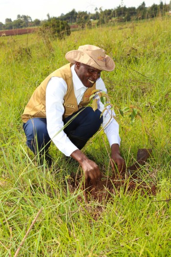 World Environmental