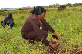 World Environmental