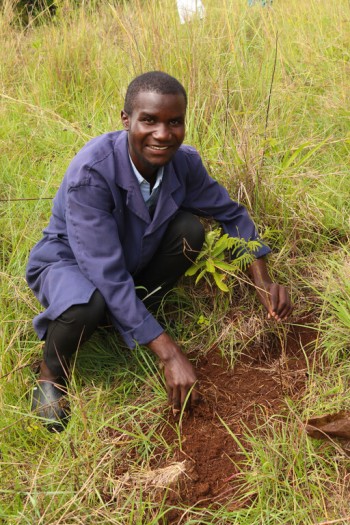 World Environmental