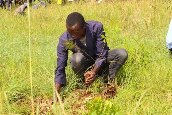 World Environmental