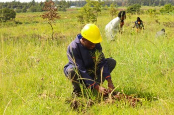 World Environmental