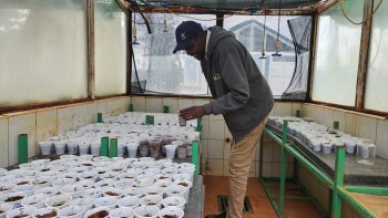 CGA Farmers from Lai