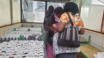 CGA Farmers from Lai