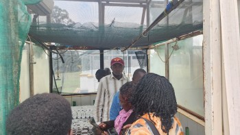 CGA Farmers from Lai