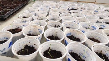 CGA Farmers from Lai