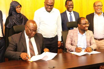 University of Eldore