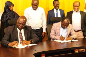 University of Eldore