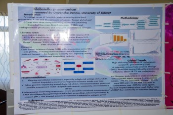 University of Eldore