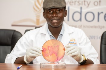 University of Eldore