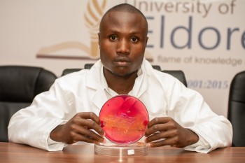 University of Eldore