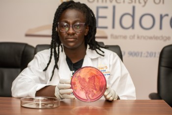 University of Eldore