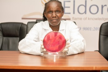 University of Eldore