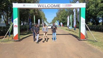 University of Eldore