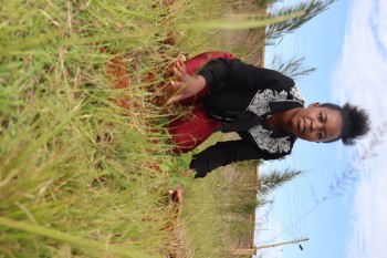 University of Eldore