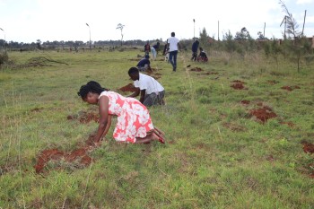 University of Eldore