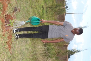 University of Eldore